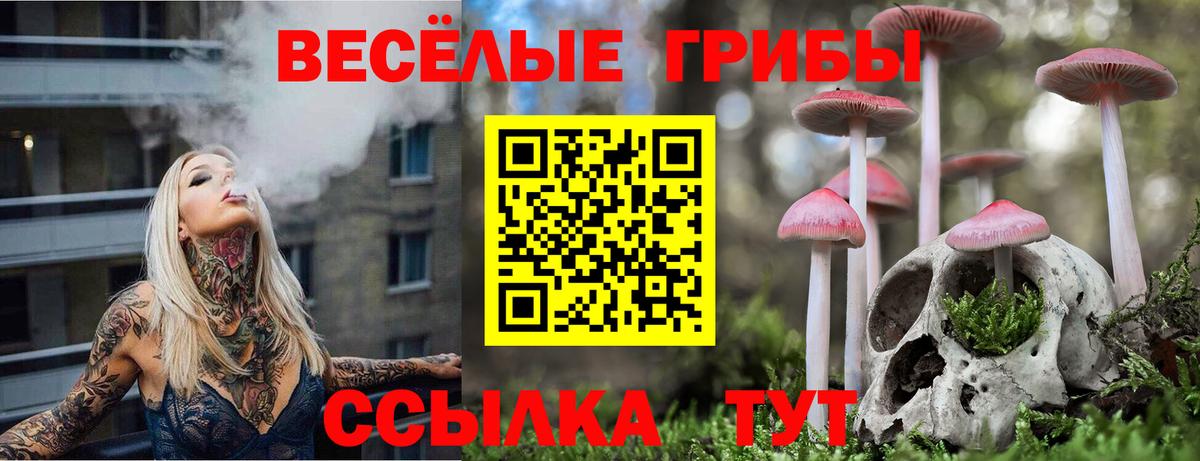 Псилоцибиновые грибы прущие грибы  Псилоцибиновые грибы мицелий  Вход с VPN  Сунжа 