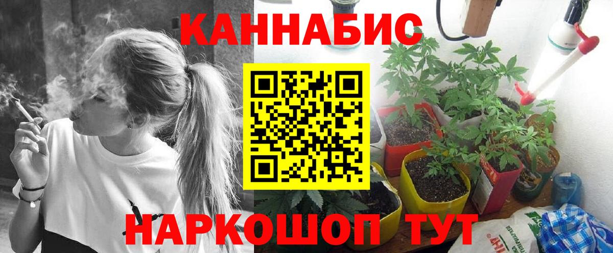 МАРИХУАНА сатива  Марихуана тримм  МАРИХУАНА Bruce Banner  Сунжа  Вход с VPN 